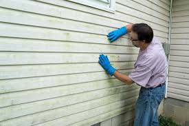 Best Vinyl Siding Installation  in Dunkirk, MD